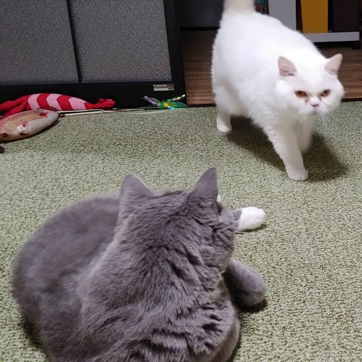 Fea15fa5 bfac 4041 866d 3cd67ac5bc55 1682075764741