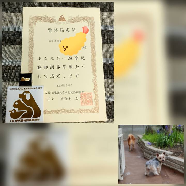 Fea1707f 058d 4ddf ab7e 5b7b6c33ab0e 1649599083258