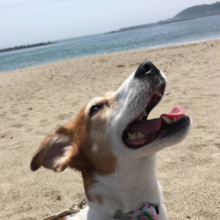 Fea1bfaf c7cb 4512 a729 34ebf4501300 1528811767887