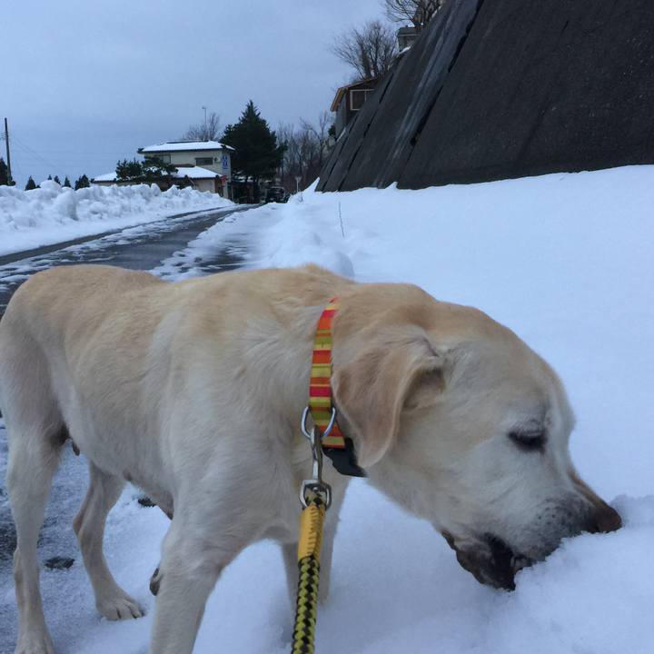 Fea1de0b 9f7e 4a03 a75d db2febc6d2eb 1515312849958