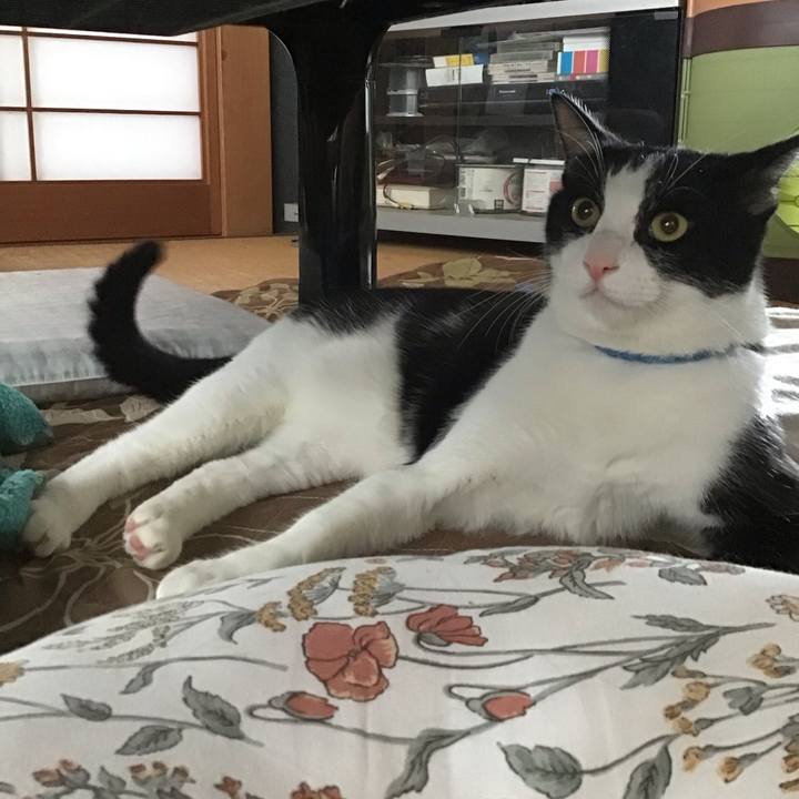 Fea25824 1e2d 4daa ab00 8853eece1b94 1696413113297