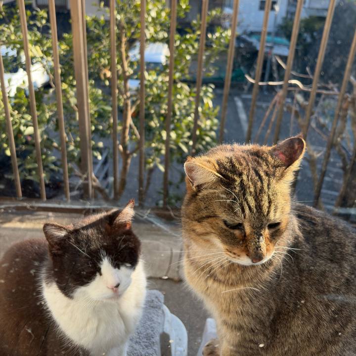 Fea25a85 c4c1 4d9c 9383 6293716ee9ff 1773308827999