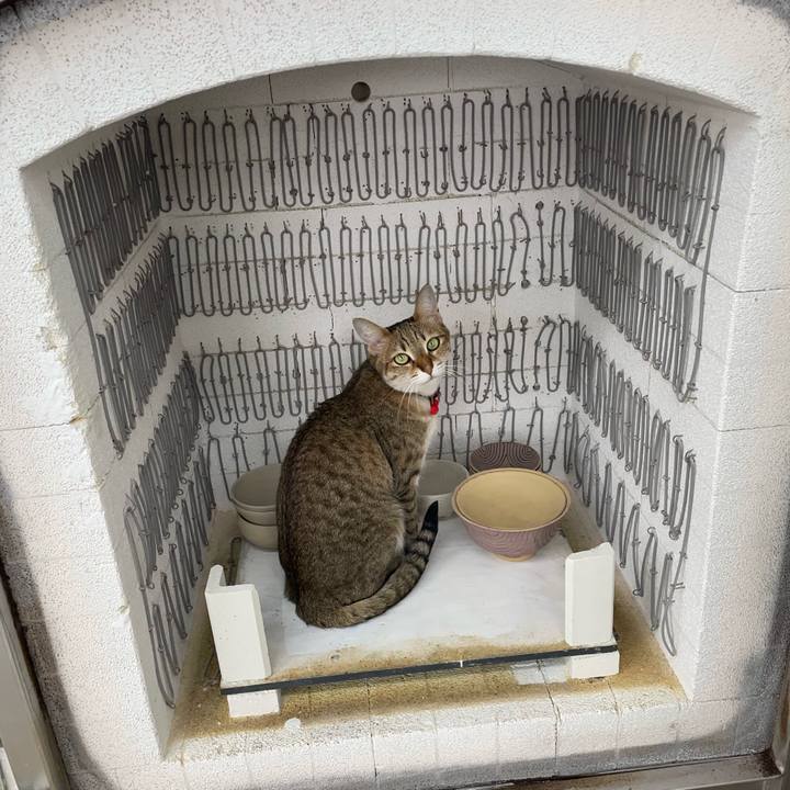 Fea266c3 c3a2 4469 9205 6b36358f4511 1714874640207