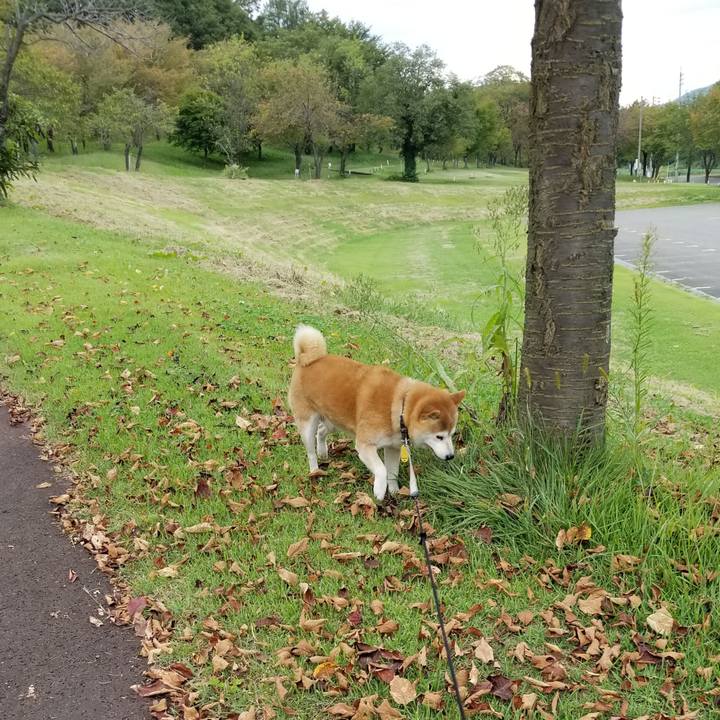 Fea2876b 0bfa 4343 bd1c 8acbb3ec06f1 1631776553748