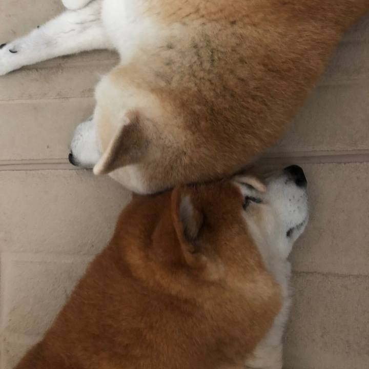 Fea2a22b 15f7 4819 8a1e f755af683ac3 1600150006406