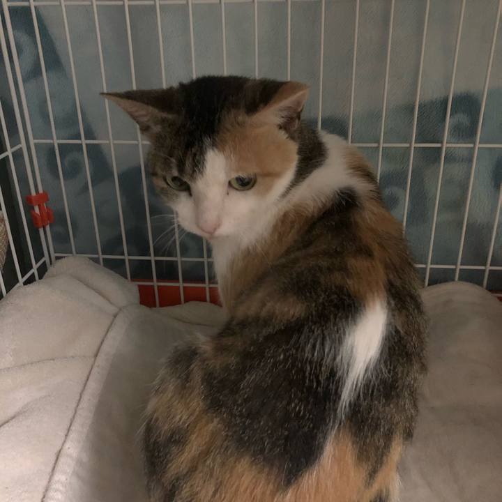 Fea2cd87 e815 4382 b38a bcc8fa3b9a8a 1571410884856