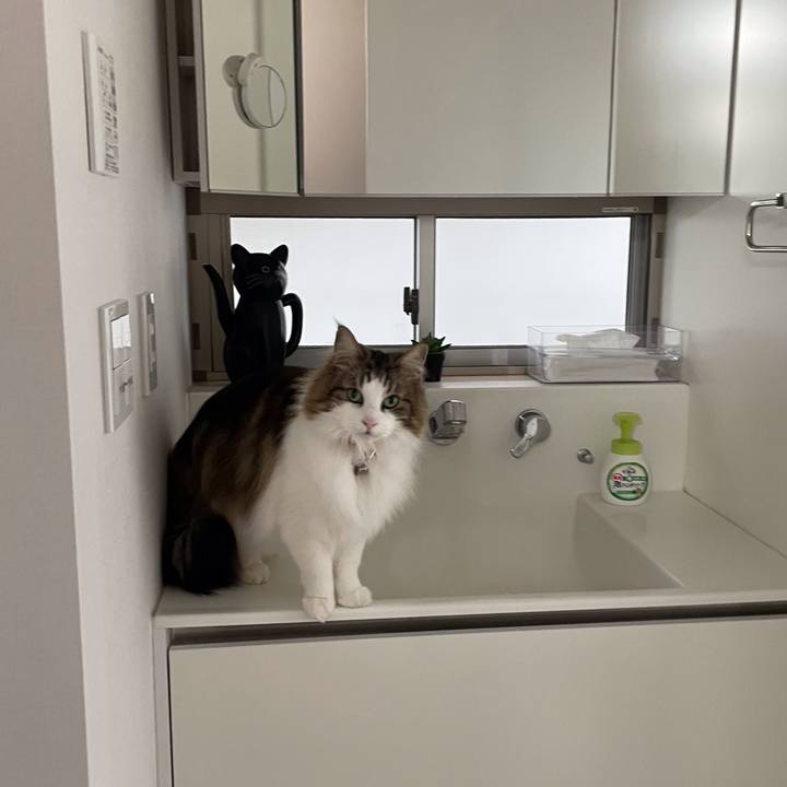 Fea2ec1c 141d 4957 8810 7b2264f67408 1648357755833