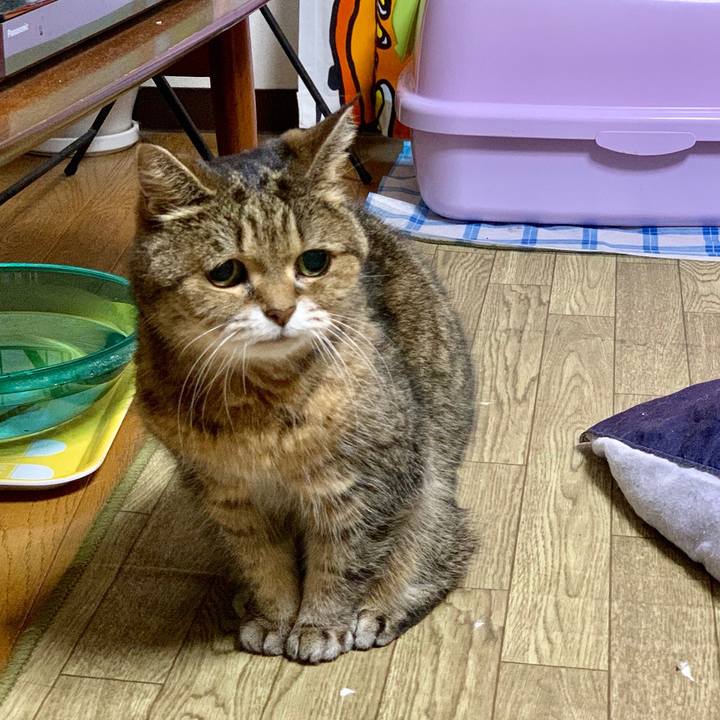 Fea31f2f 4662 44a6 91fb c1eb3590038d 1550148941049