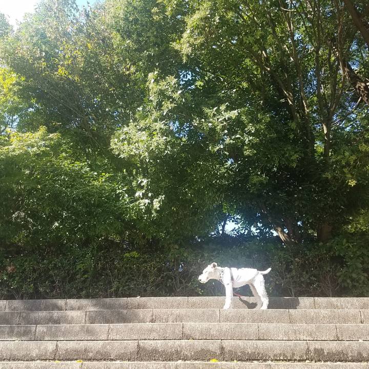 Fea368fe e740 41ce 9283 ae8f39af0582 1603516308618