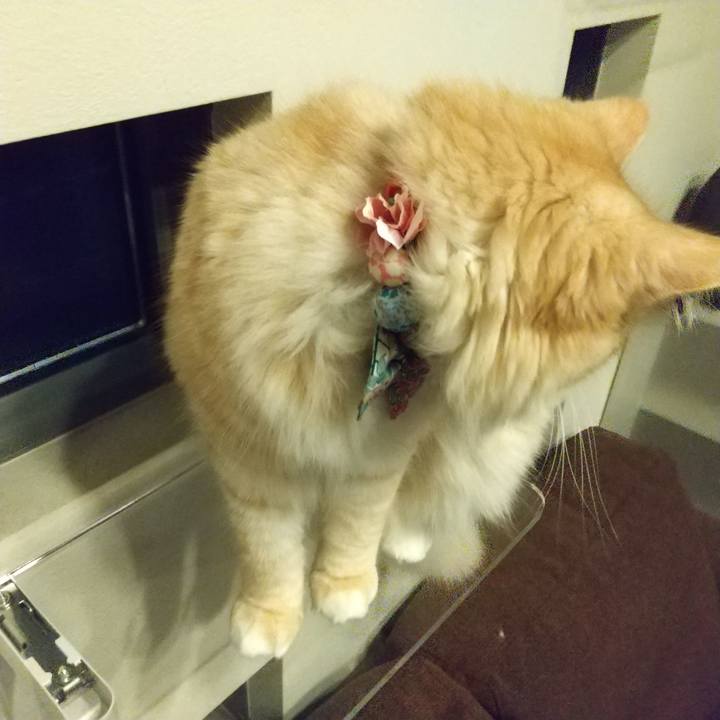 Fea3720f ac43 4c8f b2bb 745097e467e8 1629980640293