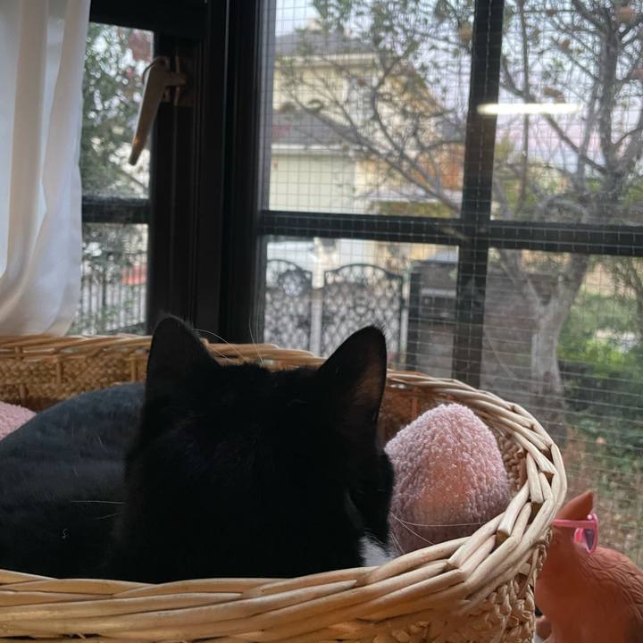 Fea3745a 13fd 40a8 a7dd 8695422daeef 1700033848221