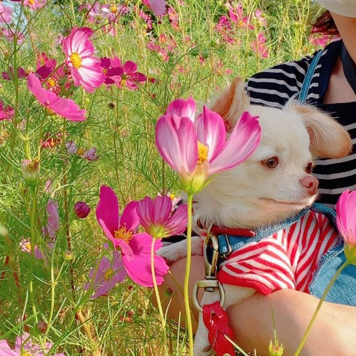 Fea39514 b48f 4f02 a166 5257503ab2d4 1632748408447