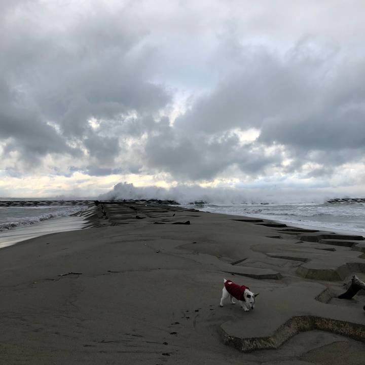 Fea3e016 3d98 4c4c a701 103ccef222a1 1608247197224