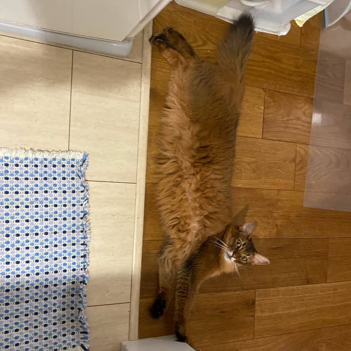 Fea4233a 55e9 4c22 b6e5 7719be279c2e 1663982607791