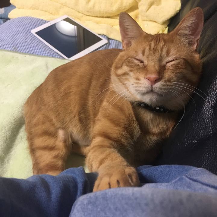 Fea43fc2 3dc8 496f bc57 481c2a8f1ae6 1538813597385