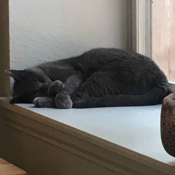 Fea45481 d19b 4642 8580 6105b6ad6417 1663102936265