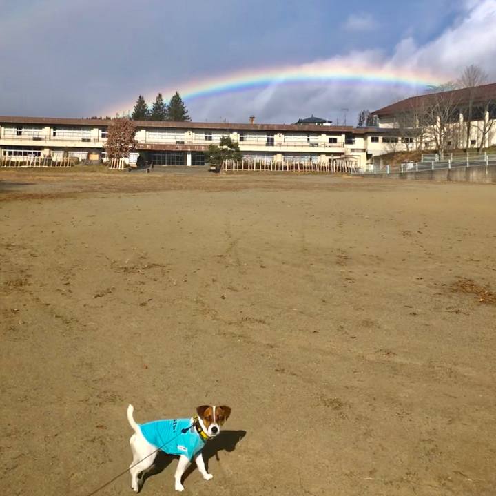 Fea459fc 30d3 4de7 af3e cdd7af916a26 1543662399422