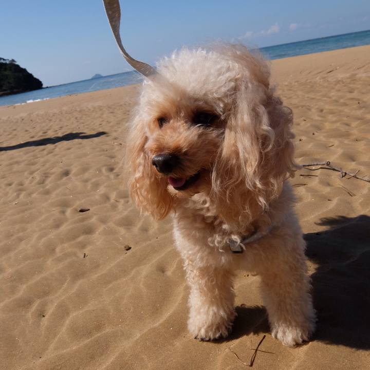 Fea4745c e69d 4dbc b265 4aad902b9dea 1603006996813