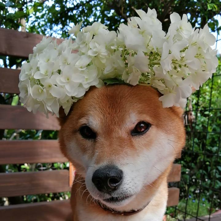 Fea49aa7 017e 4b71 9542 3dd73efe9069 1623392692826