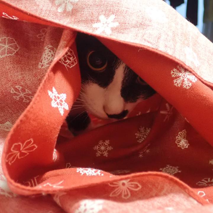 Fea4bb6a e402 48a6 8f8a 322f6b265aa9 1528291041916