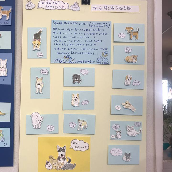 Fea4bd6c ea07 4545 b7b0 012a544d50cc 1540133443761