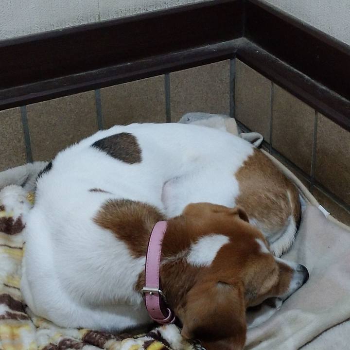 Fea4c28d a811 4ddc 8bad fda3fe2be001 1578372063425