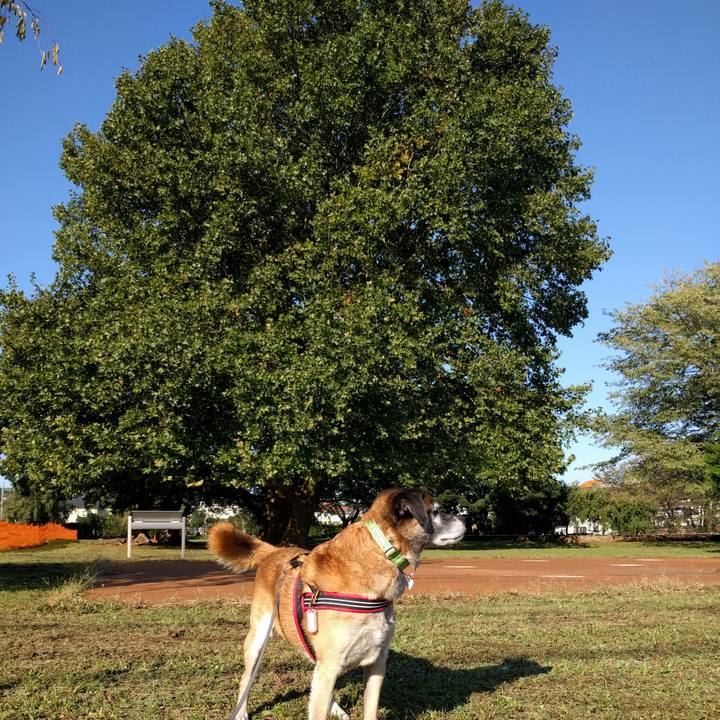 Fea4ea3d c1bd 4067 a48e 2b167ebf55cb 1508290113082