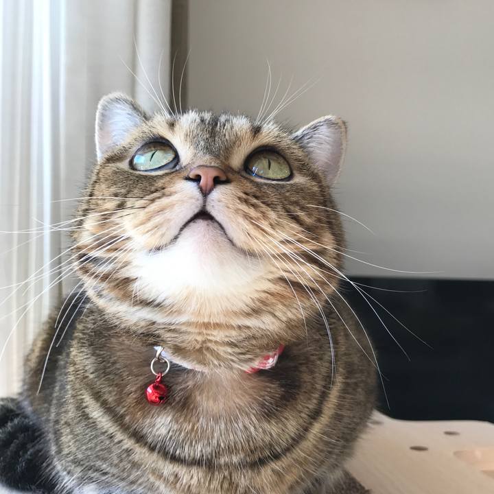 Fea583fd 8b47 4ead 9f67 6be2d20de246 1509333976148