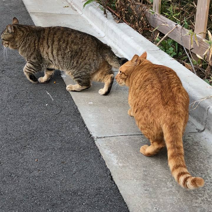 Fea5ce7e c934 4634 9e07 3d78a04e490c 1521103841937