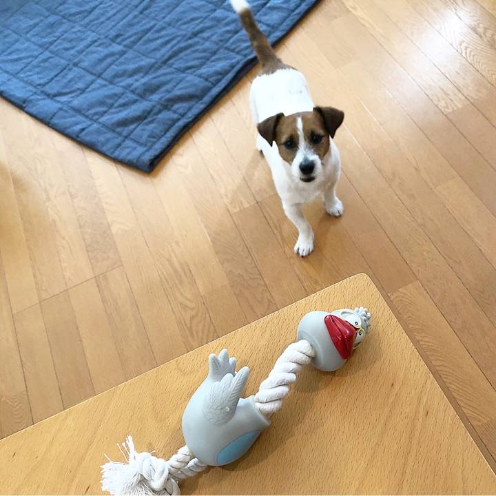 Fea5d4e4 57e6 4bb9 8efc f01a508a82c6 1522240454210