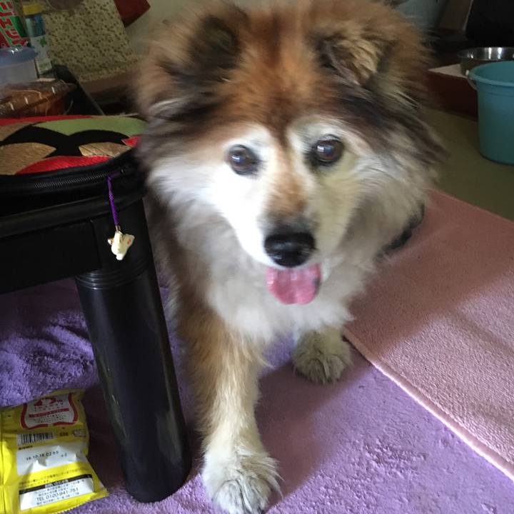 Fea5ee97 c9ab 4651 a32d 8a2fcb9993b9 1559109332141