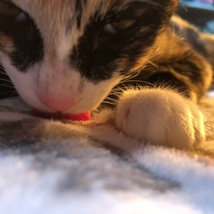 Fea5f191 170c 42db 8b07 22e873cb074c 1549711388380