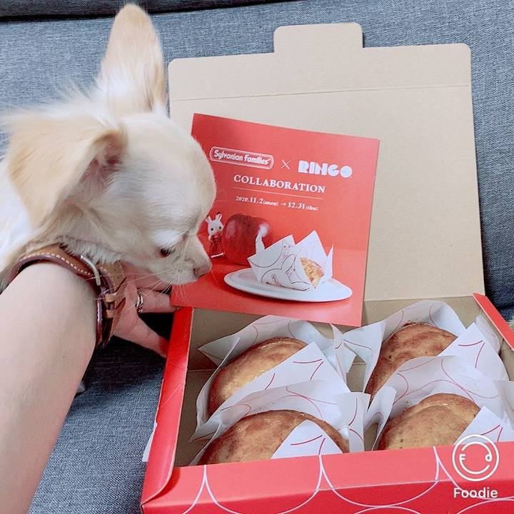 Fea60b97 d8b3 4e2f a62b 5d3debd28592 1603977101060