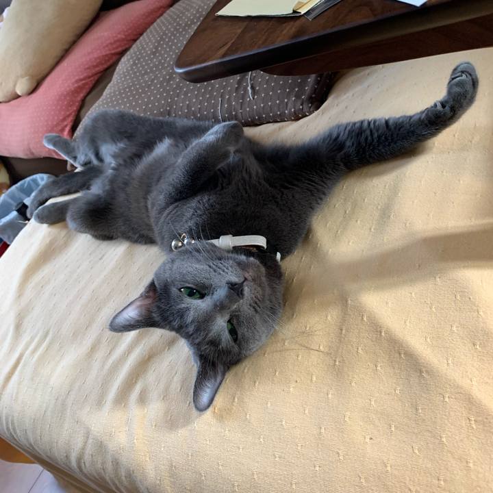 Fea61635 9f78 4722 b00d d32c48dfe8c2 1630826718962