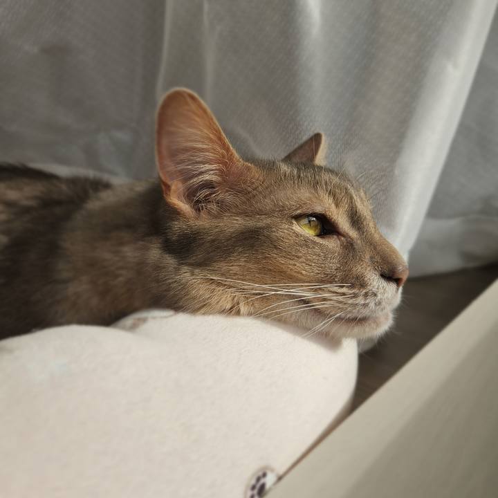 Fea62629 e275 48ab 8fed 6801467e1223 1774568194372