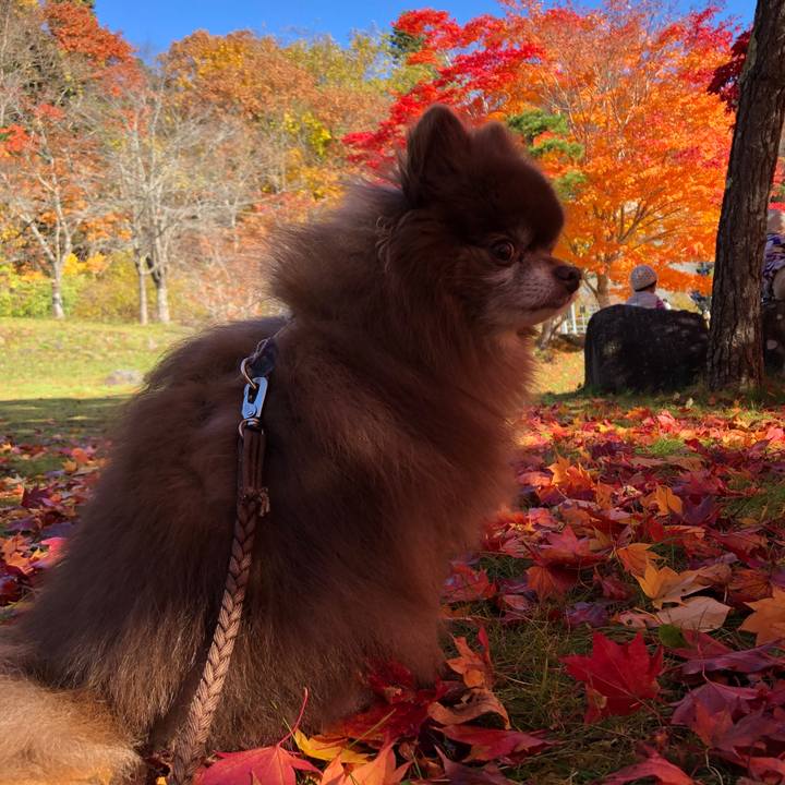 Fea6da9c e799 49a5 9b60 38e054ca37fe 1635571809784