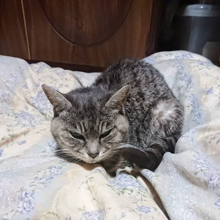 Fea6fdfc 8002 42cf 824a 0f55eb9ed1f0 1580213045954