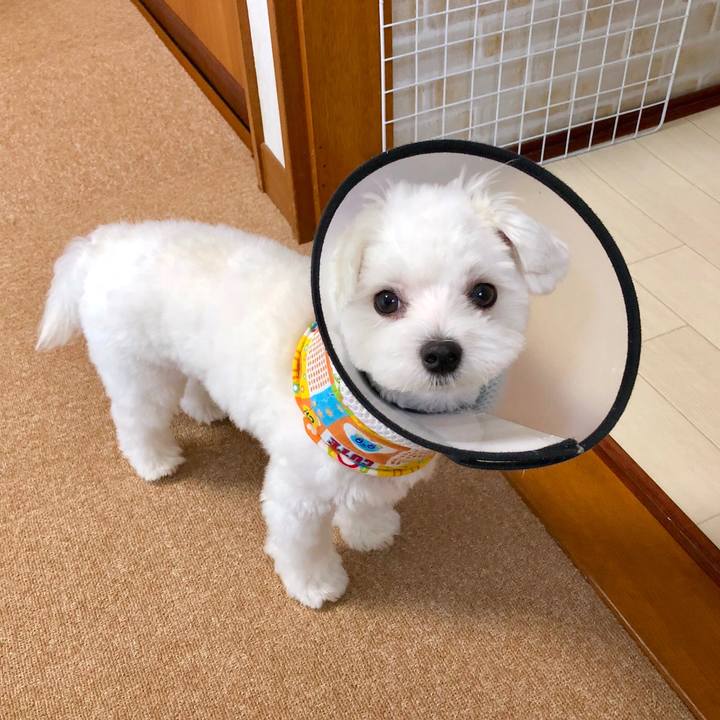 Fea6ffd6 9a93 40be a89b d9d4e63845c8 1532774804346