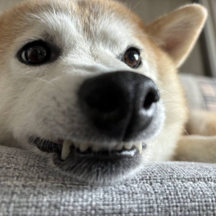 Fea70db5 ec8a 4d95 9ca4 1252a55da8a3 1735943874517