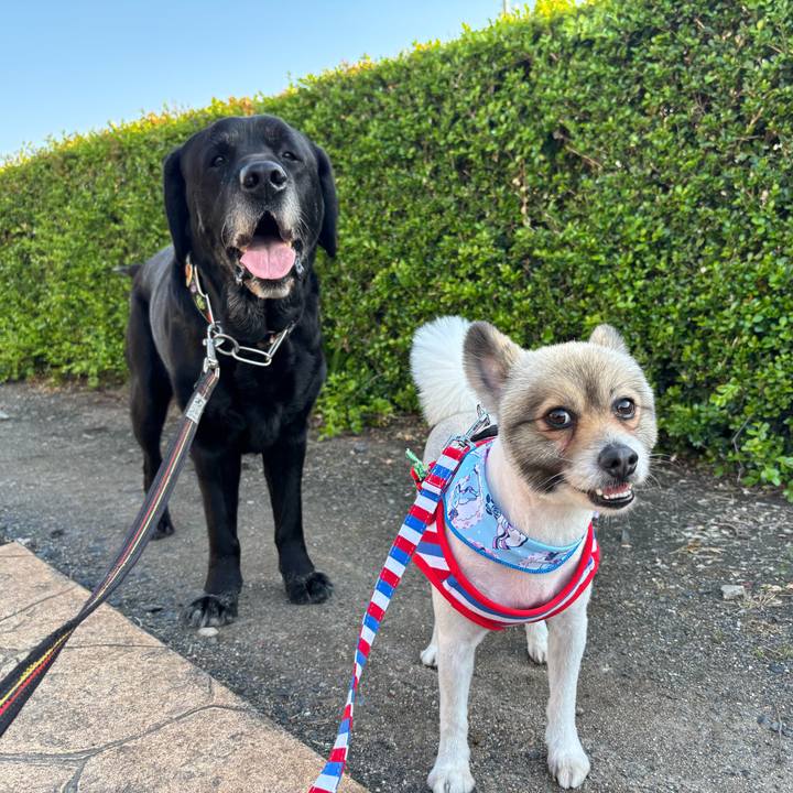 Fea72611 aed8 4ef4 b194 cdce2d43f824 1776339166947