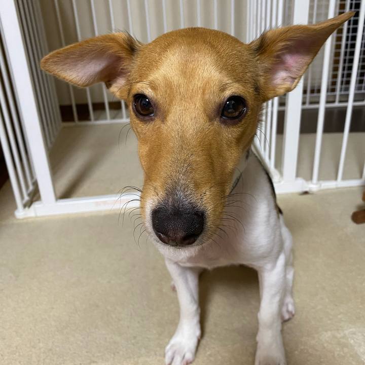 Fea73247 81e4 4784 a949 f40d71b0d0fa 1764621146402