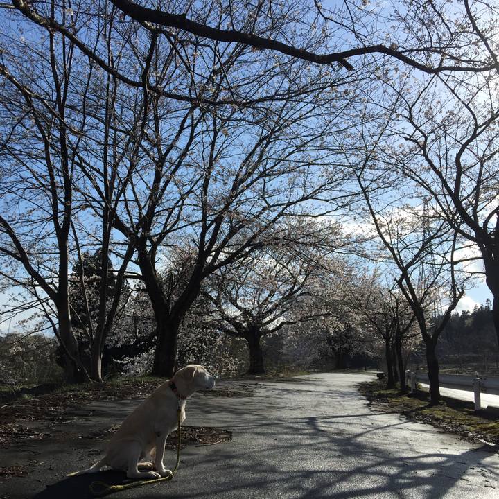 Fea73e29 36d9 4880 9514 30b0989c0e00 1523172331305