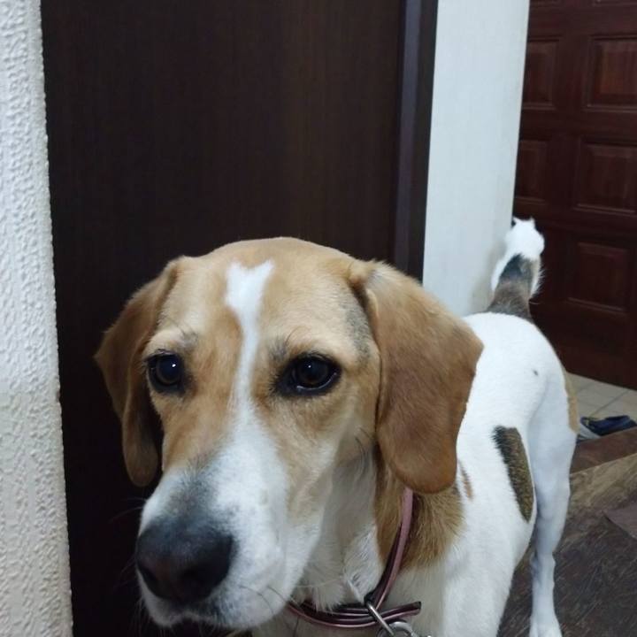 Fea74609 d871 4bd7 99a6 df0adf3fda9f 1590231897822