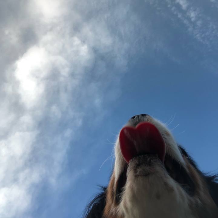 Fea76441 c161 4b31 8844 2d31d19e7ff5 1534757441287