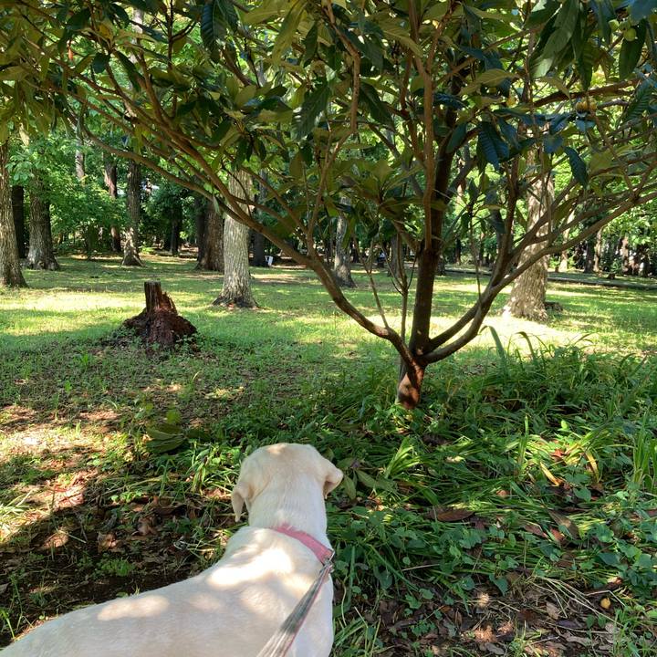 Fea7a535 946d 4b01 a054 3cc651fec183 1748994660361