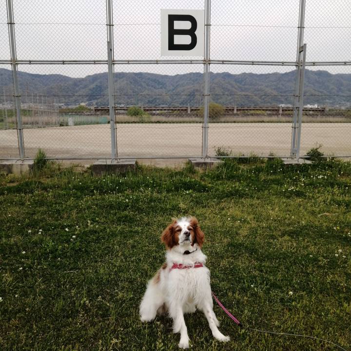 Fea7a8c4 338c 4c89 8757 015d195bc21f 1586941407586