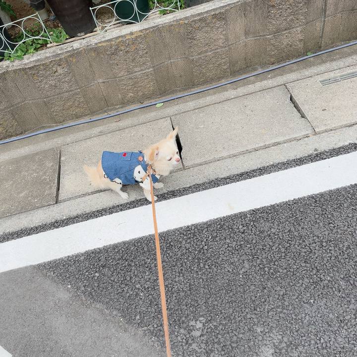 Fea7cc58 2a91 47ac 9b53 a8529ae702d1 1729514646754