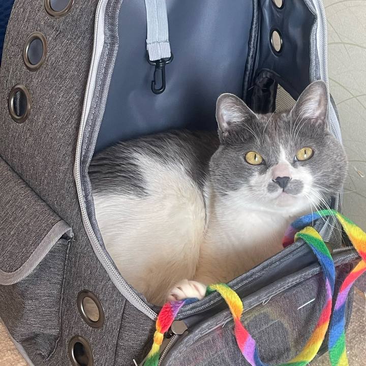 Fea7d1ca 98c4 464b 8d99 07b603531737 1706331874637