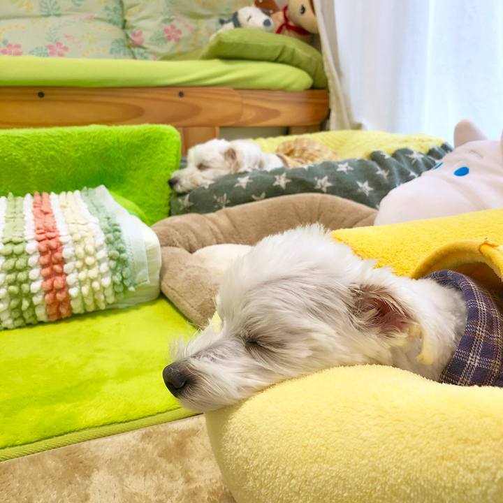 Fea7ddc8 50e0 4215 a6e9 45c9b21cf1ca 1571286459526