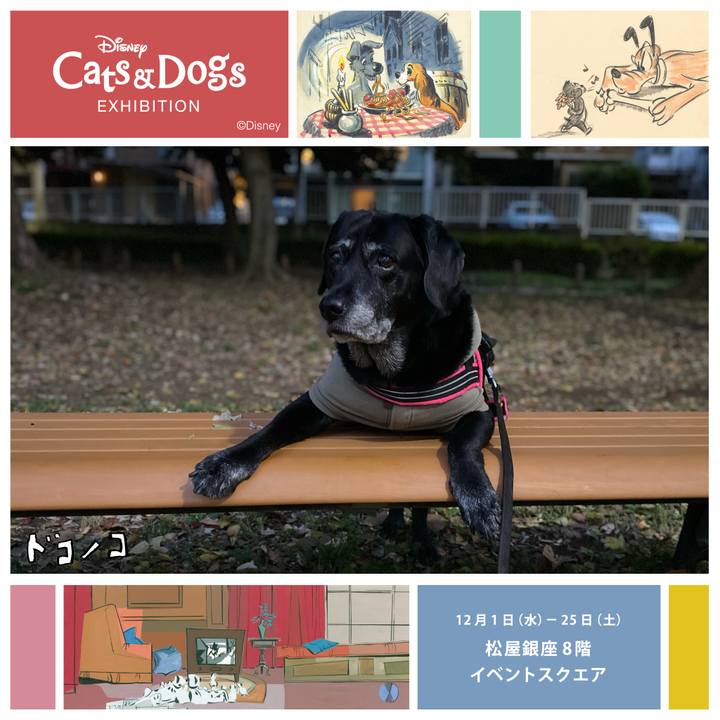 Fea80e3d 2aa3 4ce6 b94e 92a13f3bee80 1638371355402